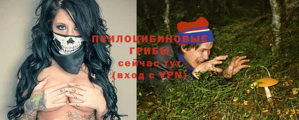 герыч Няндома