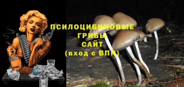 ALPHA PVP Нязепетровск