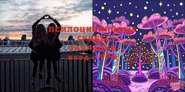 герыч Няндома